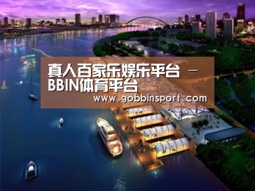 案例展示八