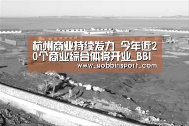 杭州商业持续发力 今年近20个商业综合体将开业_BBIN体育(图3) BBIN入口