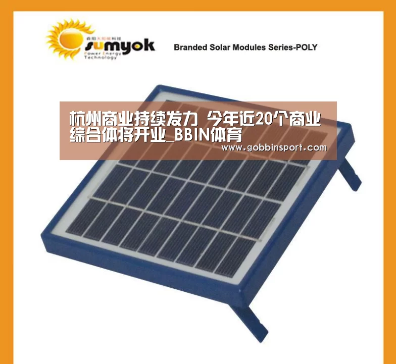 杭州商业持续发力 今年近20个商业综合体将开业_BBIN体育(图4) BBIN体育